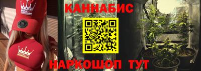 шишки Краснодар