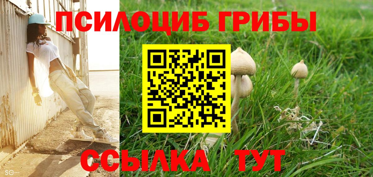 Псилоцибиновые грибы Psilocybine cubensis  Псилоцибиновые грибы Psilocybine cubensis  Вход с VPN  Кирово-Чепецк 