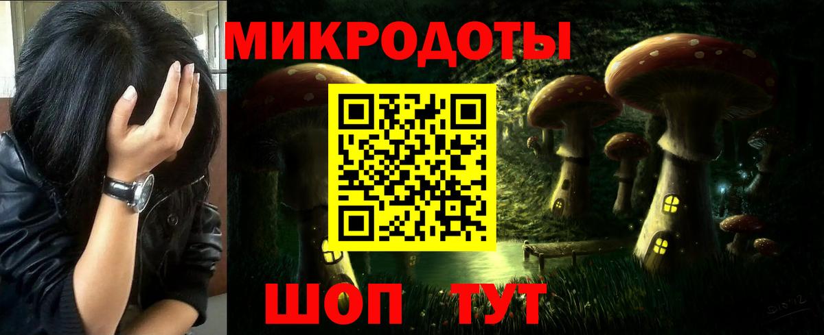 Псилоцибиновые грибы мицелий Кирово-Чепецк